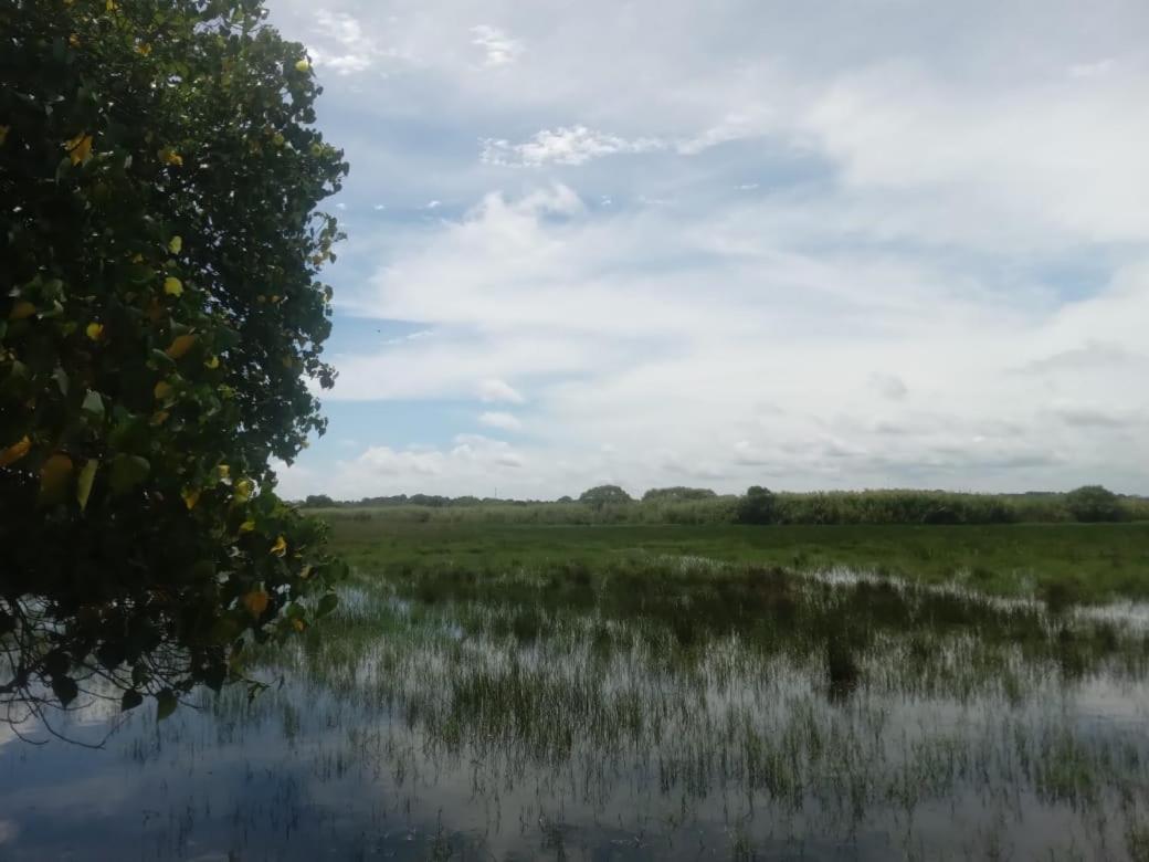 Lagoon Birds - Tangalle Hotell Eksteriør bilde